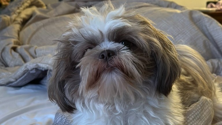 Temukan Kebiasaan yang Pas Buatmu dengan&nbsp;Trial-Error